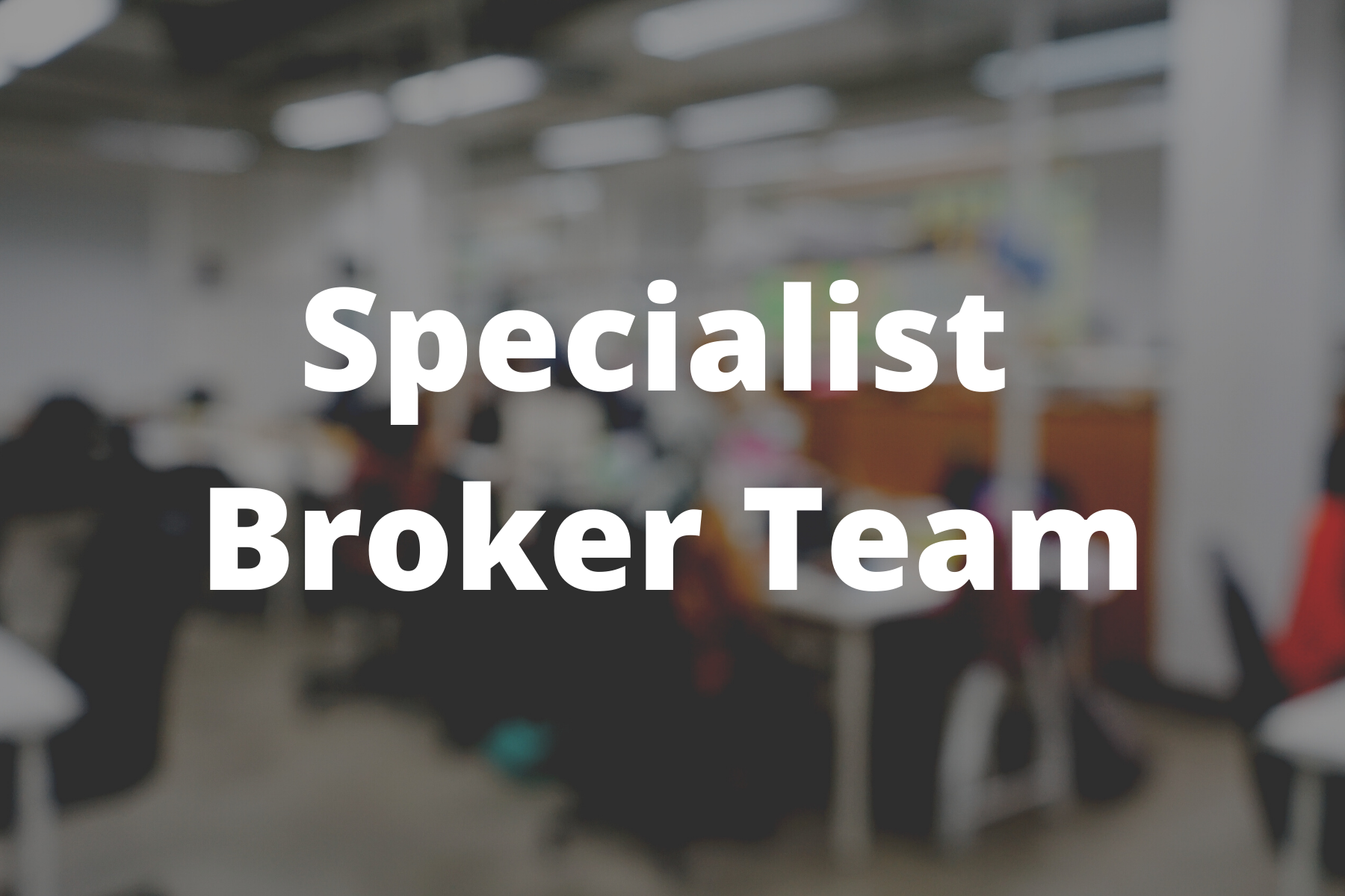 Specialist Broker